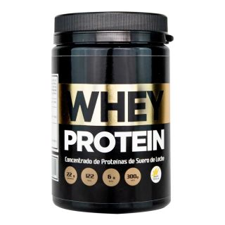 WHEY PROTEIN TOP VAINILLA 300 GR
