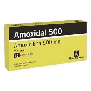 AMOXIDAL 500 MG 16 COMP