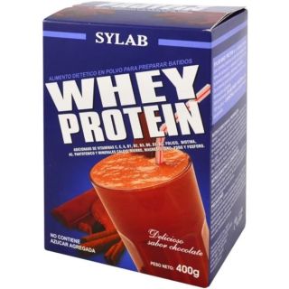 Whey Protein Chocolate 400 G