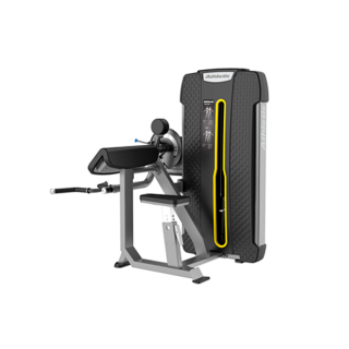 Camber Curl &#038; Triceps
