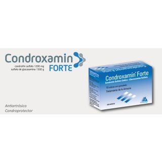 CONDROXAMIN 10 SOBRES 3 GR