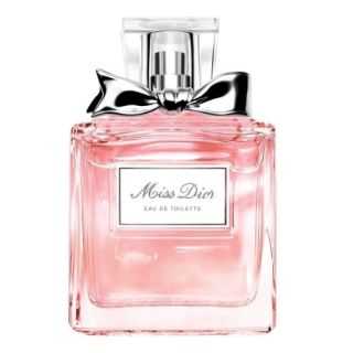 CHANEL NRO 19 EDP 100
