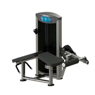 HORIZONTAL LEG CURL NEW PERFECT