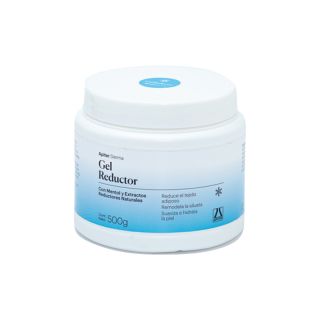 Gel Reductor Apiter Con Mentol y Extractos Naturales 500g