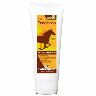 GEL EQUINO HAHNEMANN X 250G