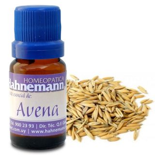 ACEITE ESENCIAL DE AVENA X 10 ML